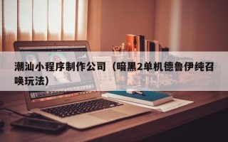 启东潮汕小程序制作公司（暗黑2单机德鲁伊纯召唤玩法）